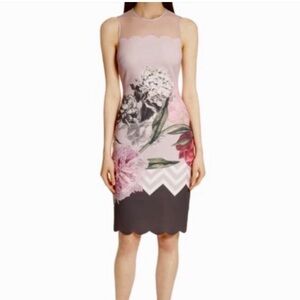 Ted Baker Palace Gardens Scalloped Sheath Dress size US 2